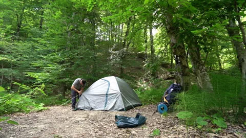 Hiker Setting Up Tent in the Forest Stock Footage 312761100