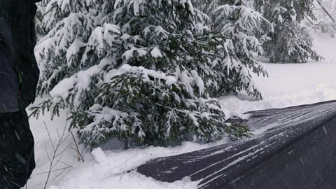 Hiker Shaking Snow Off Spruce Tree To Camouflage Tarp Shelter Video stock 336497135
