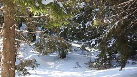 Hiker in ski trip 스톡 동영상 100718056