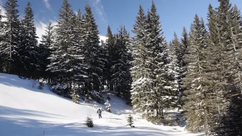 Hiker in ski trip Stock Footage 100725114