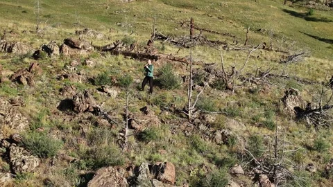 A hiker spots an eagle in the distance. Stock Footage 346112920
