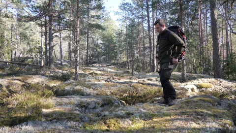 Hiker standing with backpack in a pine forest Vidéo 333581695