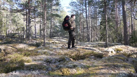 Hiker standing with backpack in a pine forest 库存影片 333581724
