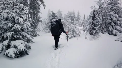 Hiker Standing On Snow Covered Forested Mountain Ridge In Winter Stock Footage 336496671
