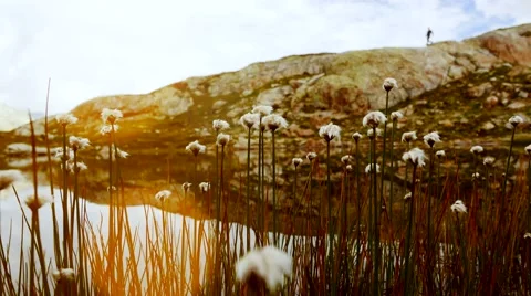 Hiker standing on top of mountain. epic scenery. lake water reflection Video stock 64799890