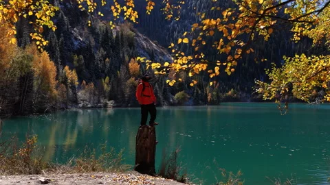 Hiker standing on tree stump enjoying autumn Issyk lake view, Kazakhstan Vidéo 344100073
