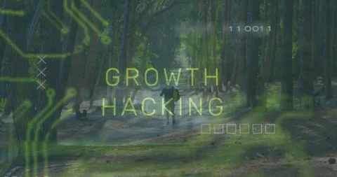 Hiker stepping into sunlit pine path activating circuit overlay with marketing Video stock 311883491