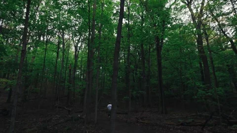 Hiker Through Trees 動画素材 338763211