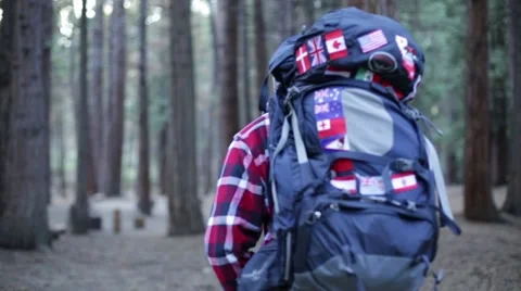 Hiker on the trail Stock Footage 50798088