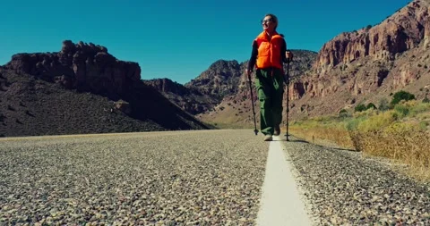 Hiker Trekking Down Desert Road in Scenic Canyon Stock Footage 325448754