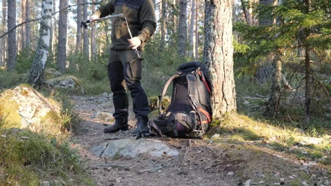 Hiker with trekking pole and backpack on forest trail in sunny pine woods 库存影片 333690798