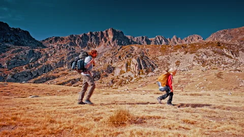 Hiker trekking through golden fields in the Pyrenees mountains of Spain Stock Footage 303633016