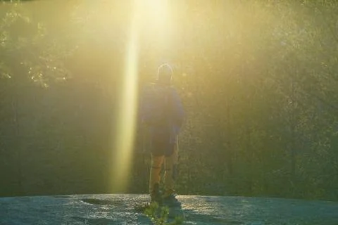 A hiker under the rays of sunset in forest. Stock Photos