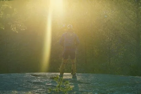 A hiker under the rays of sunset in forest. Stock Photos