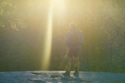 A hiker under the rays of sunset in forest. Stock Photos