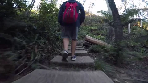 Hiker walking across stepping stones in forest Stock Footage
