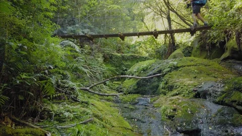 A hiker walking across a swing bridge, coromandel, New Zealand 库存影片 150554889