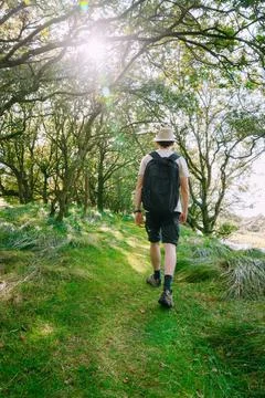 Hiker Walking Along Forest Path With Backpack Stock Photos