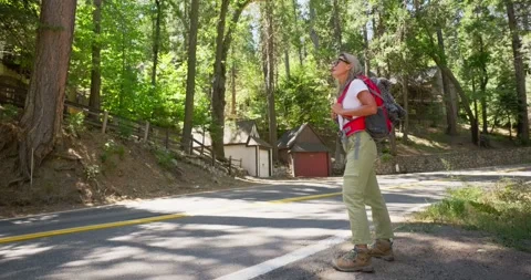Hiker Walking Along Forest Road in Bright Sunlight Stock Footage 323904963