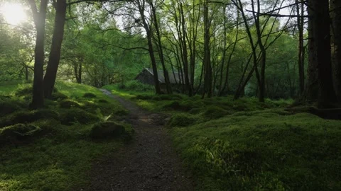 Hiker walking along a mossy forest path toward a rustic stone cabin Stock Footage 337308356