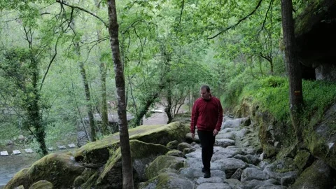 Hiker walking on an ancient stone path in the forest Stock Footage 344531082