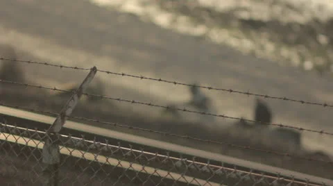 Hiker Walking on Beach with Barbed Wire Fence Focus Pull Video stock 25135447