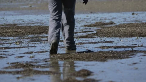 Hiker walking on a beach at low tide leaving footprints. Stock Footage 41244909