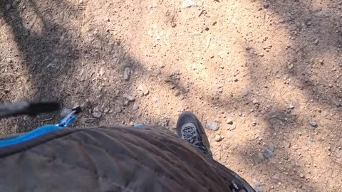 Hiker walking on a dirt path pov Vidéo 330245381