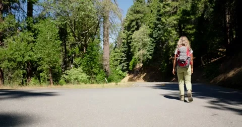 Hiker Walking Down a Forest Road on a Sunny Day 스톡 동영상 323904231
