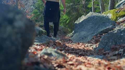 Hiker Walking Down Rocky Leaf-Covered Mountain Trail Past Camera Stock Footage 316422641