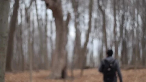 Hiker walking  Stock Footage 230585731