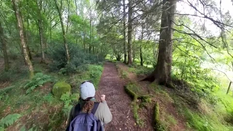 Hiker walking on footpath through rural countryside woodland Stock Footage 280844015