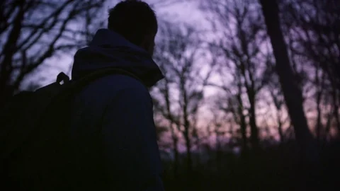 Hiker walking in forest at dusk Stock-Footage 81617948