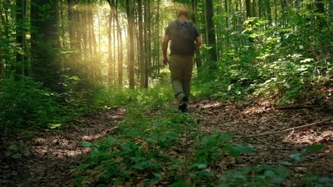 Hiker walking in the forest 動画素材 135407578