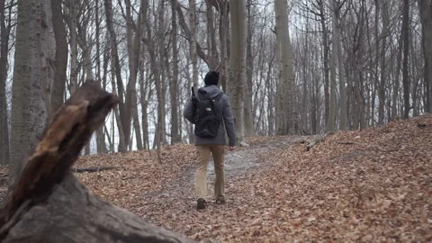 Hiker walking in the forest Stock Footage 230586054