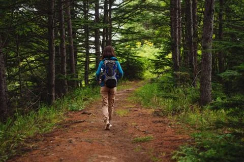 Hiker walking on forest path Stock Photos
