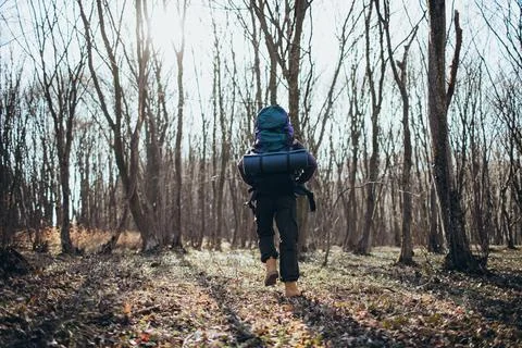 Hiker walking at forest Foto stock