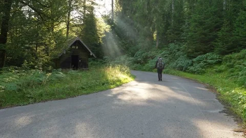 Hiker walking on forest road with sunbeams near a hut in Germany Stock Footage 345012983