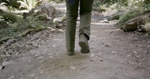 Hiker walking on the forest trail Stock Footage 145279078