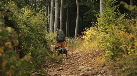 Hiker walking up the hill Stock Footage 61966850