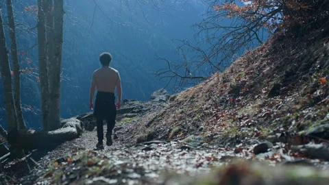Hiker Walking on Leaf-Covered Mountain Trail Towards Rocky Clearing Stock Footage 316414698