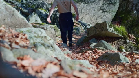 Hiker Walking on Leaf-Covered Mountain Trail with Mossy Stones Stock Footage 316418553