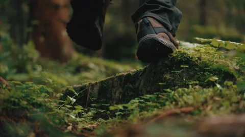 Hiker walking in mountain forest, foot steps on stones covered with moss Stock Footage 282995776