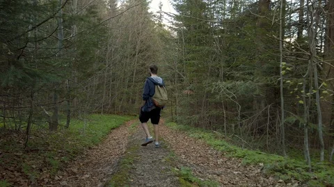 Hiker walking at the mountain forest. Tracking shot of coniferous trees Stock Footage 129552479