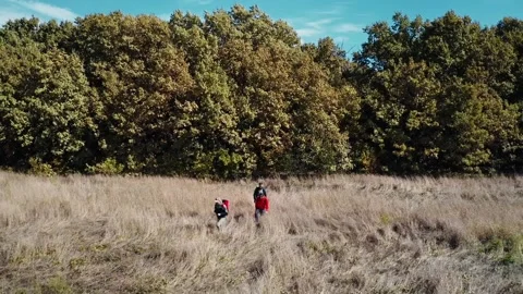A hiker walking on a mountain meadow in spring or autumn. Hiking in the Lusatian Stock Footage 230070934