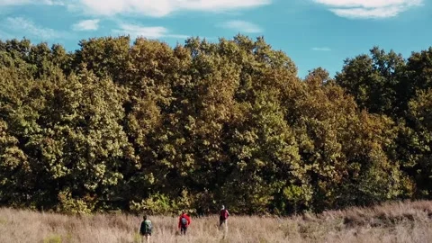 A hiker walking on a mountain meadow in spring or autumn. Hiking in the Lusatian Stock Footage 230070943