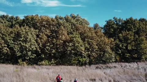 A hiker walking on a mountain meadow in spring or autumn. Hiking in the Lusatian Stock Footage 230070978