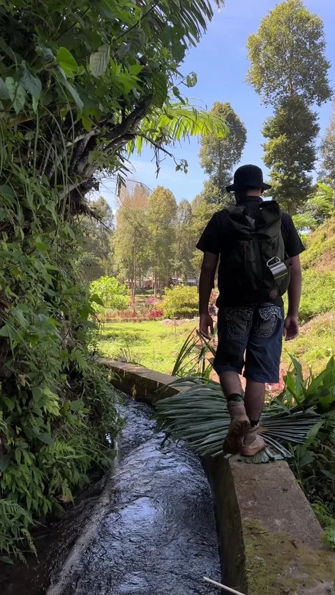 Hiker Walking Narrow Path Beside Water Canal, Lush Green Landscape, Vertical Sho Stock Footage 323913229