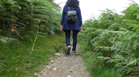 Hiker walking the path between huge ferns Vídeos de archivo 68056278