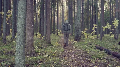 Hiker walking on the path Vidéo 219679887